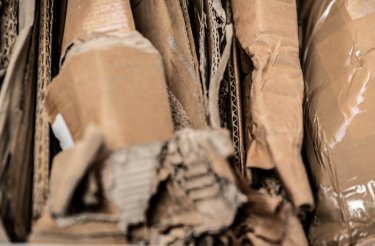 cardboard